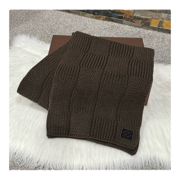 Louis Vuitton Damier Ebene Wool Scarf ✨ - Picture 6 of 10